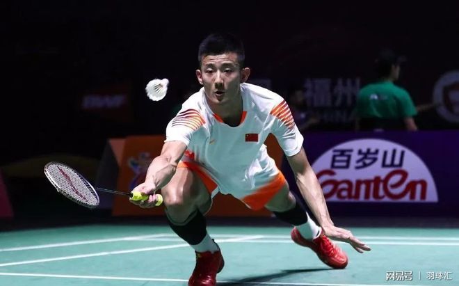 巩固了他们 巩固了他们