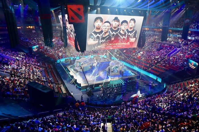 术多样性 术多样性