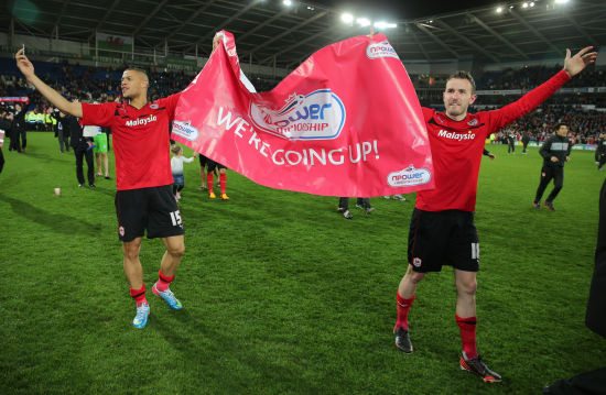 明尼苏达森 明尼苏达森